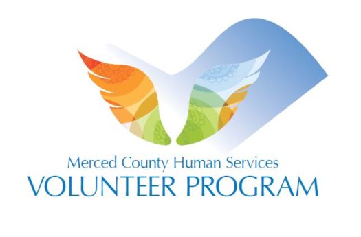 VolunteerLogo